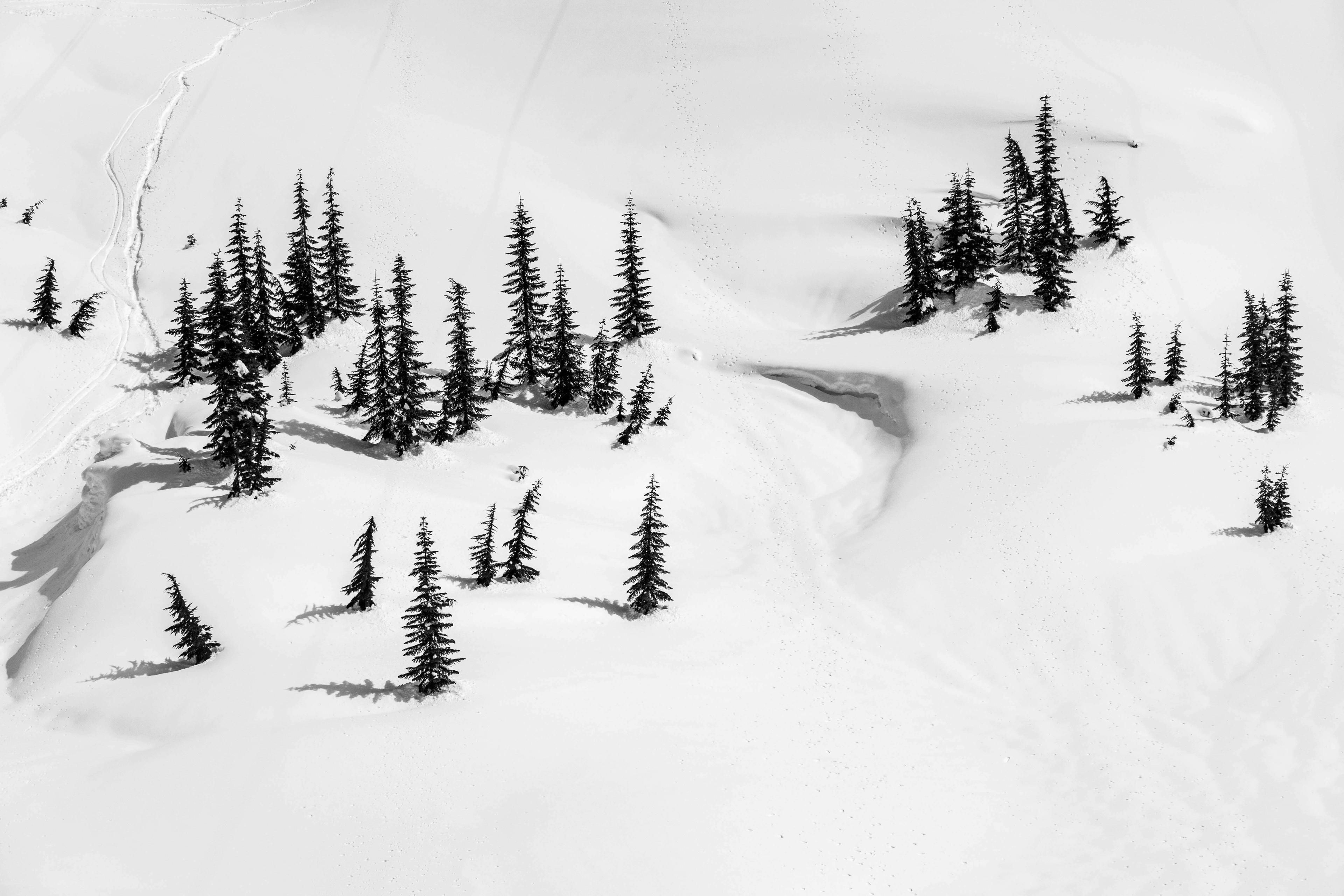 Drone shot of a winter landscape, fully covered in snow